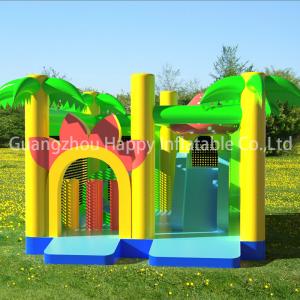 inflatable jumping bouncy
